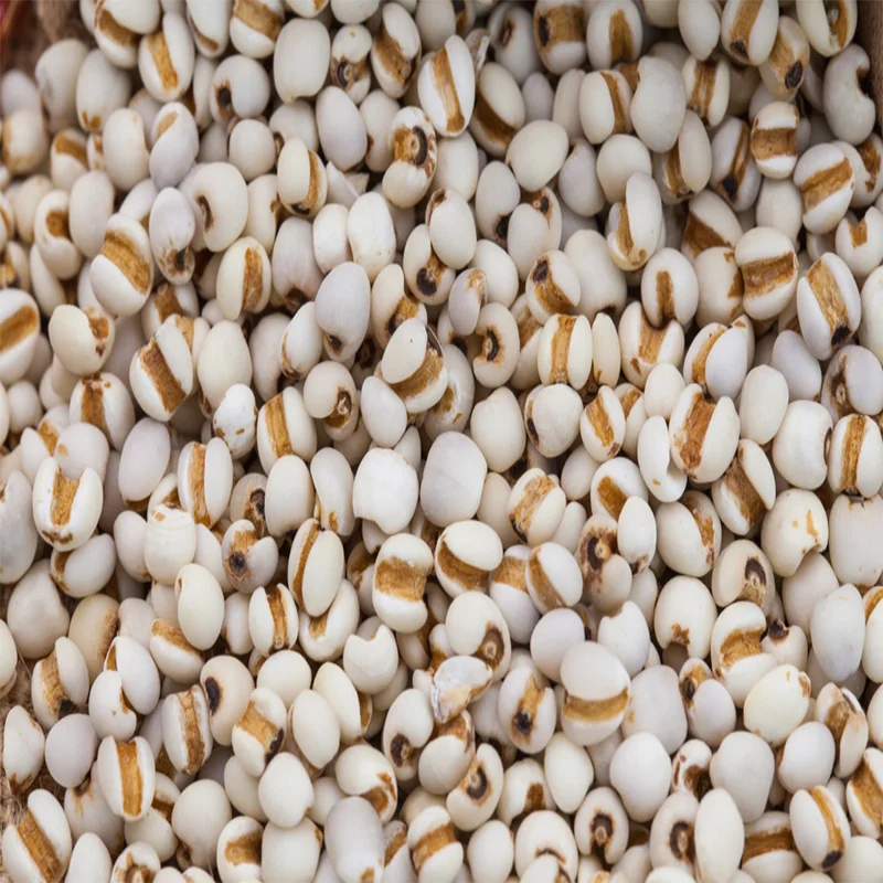 Best Choice Coix Seeds