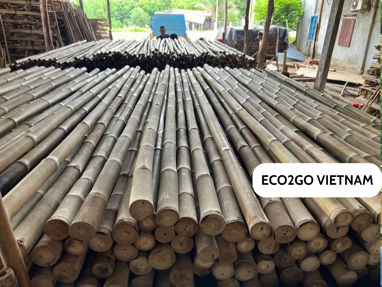 Высококачественные бамбуковые палочки Eco2go Vietnam для садоводства обеспечивающие устойчивую прочную и универсальную поддержку ваших растений