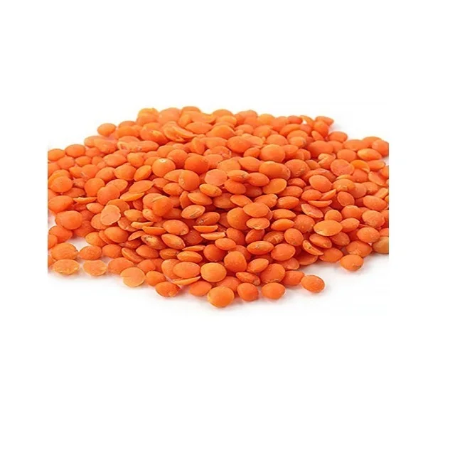 Quality Bulk Dried whole split Lentils Red Lentils Green Lentils