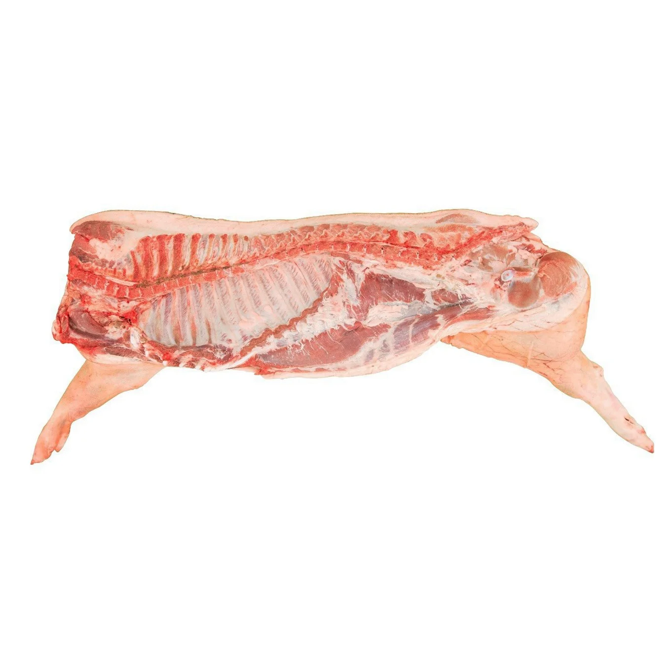 Frozen Whole Pork Carcass Sale Price