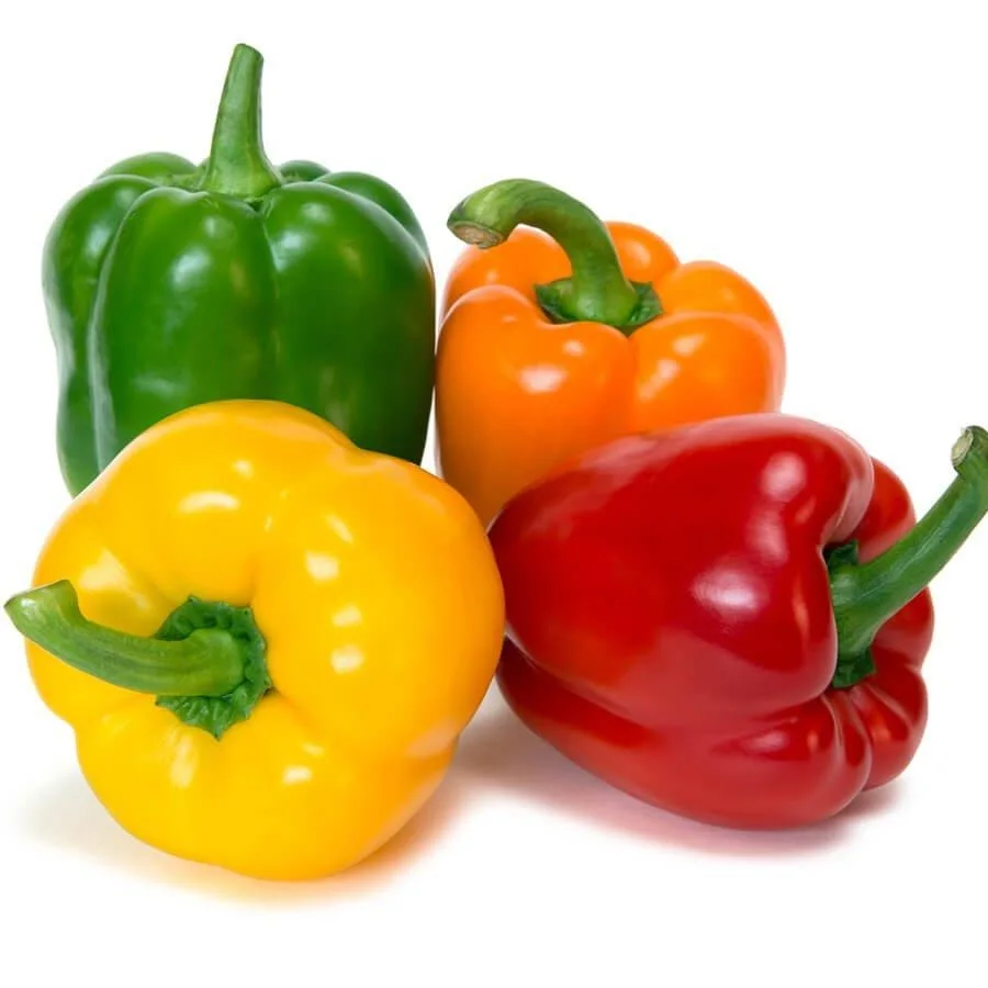 Good quality  Fresh Capsicum Bell Pepper Smooth and Natural Red Yellow Green Skin from Vietnam top exporter Reasonable Price