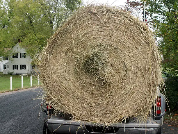 Easy Feed Haylage Organic Haylage FiberMax Haylage Grass Haylage Blend