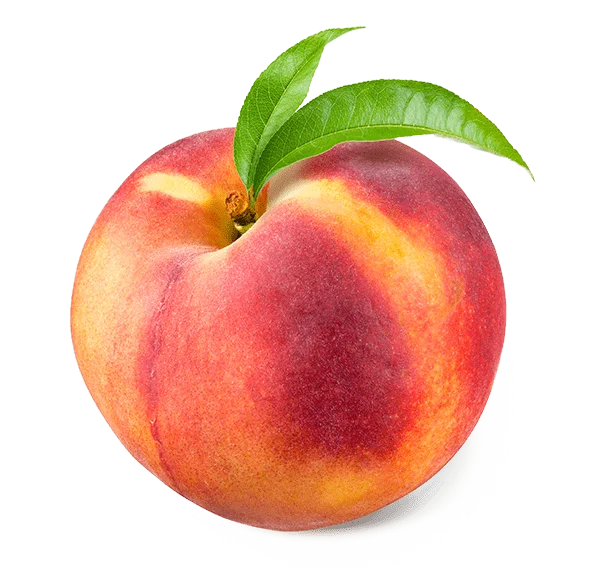 Premium Quality Organic Juicy Sweet Fresh Peaches