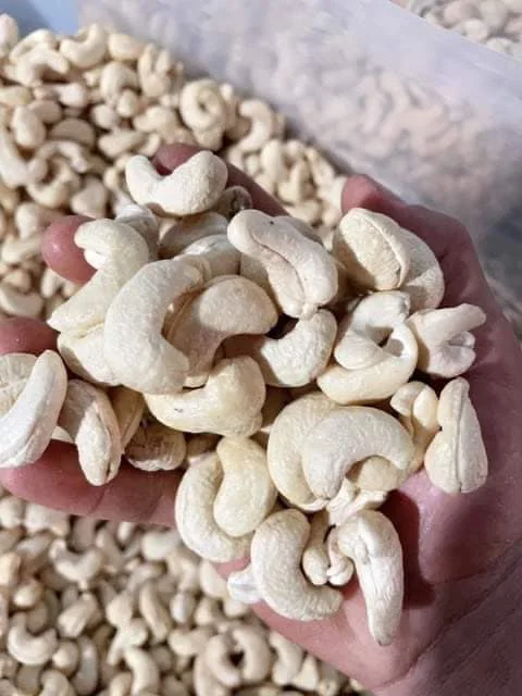 Best Selection High Quality 100% Organic Cashew Kernels ww320  Vietnam is ready to ship