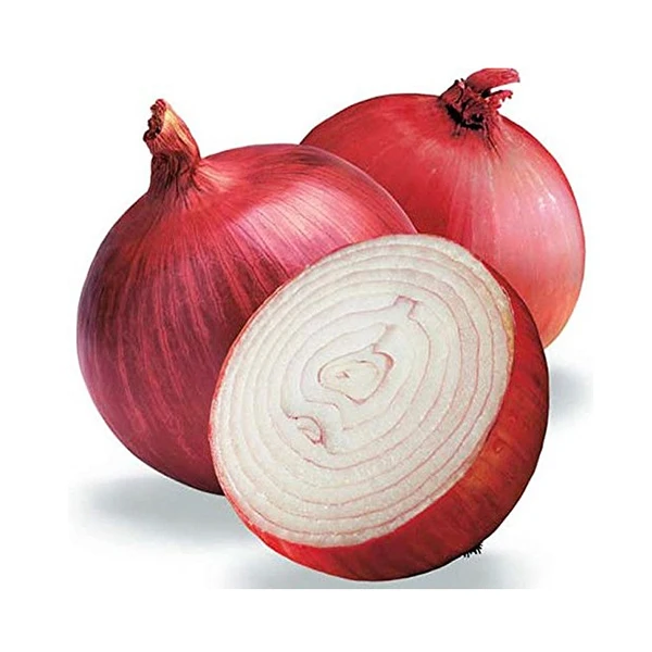 Fresh Red Onions Cheap Price Fresh Onion Wholesale Onion from Pakistan High Quality Natural Round Clean Pakistani 5 Ton 6 Cm