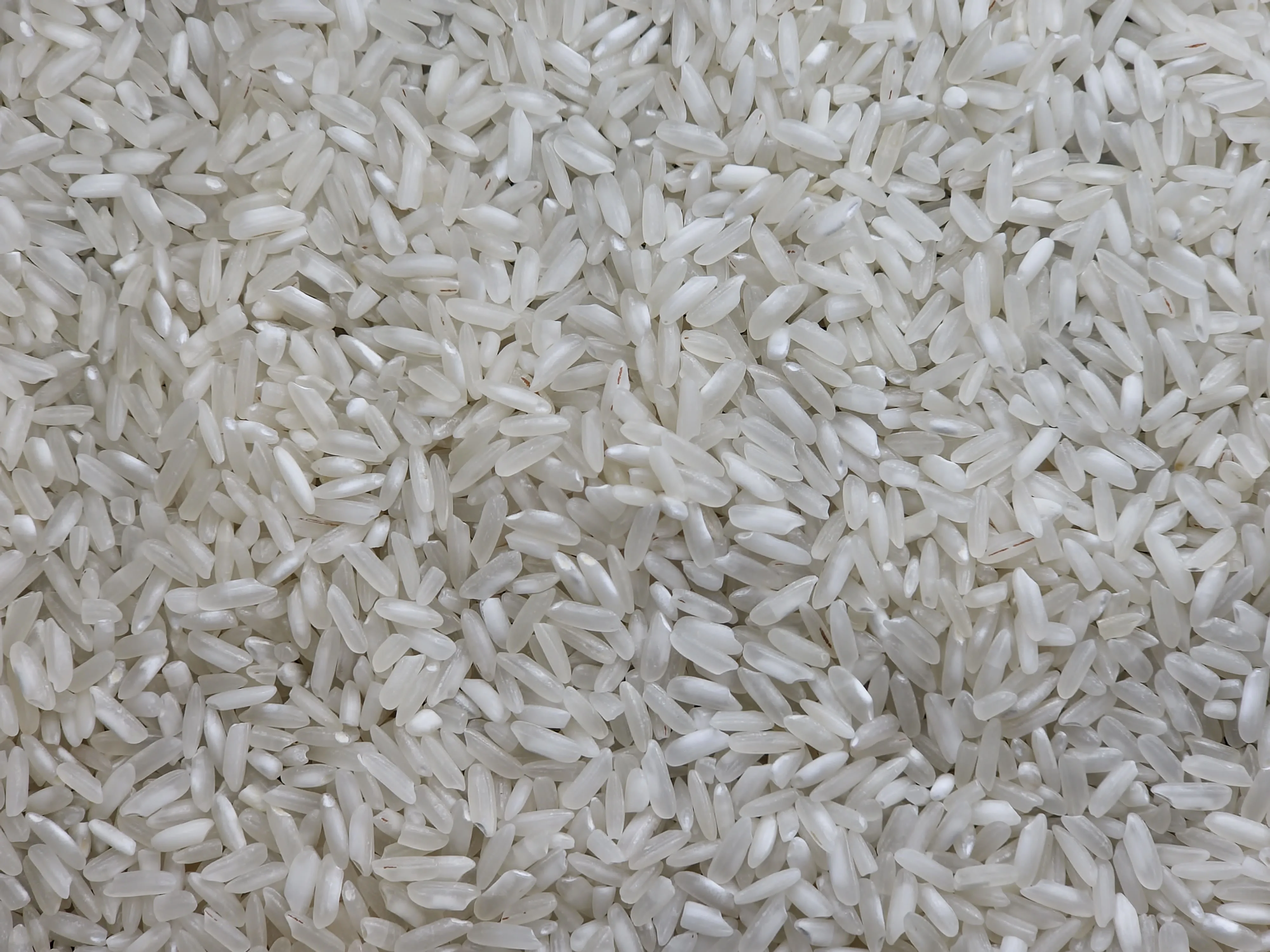 Top-Grade 504 Long Grain Parboiled White Rice from Vietnam Dried Hard Texture SafeAgri
