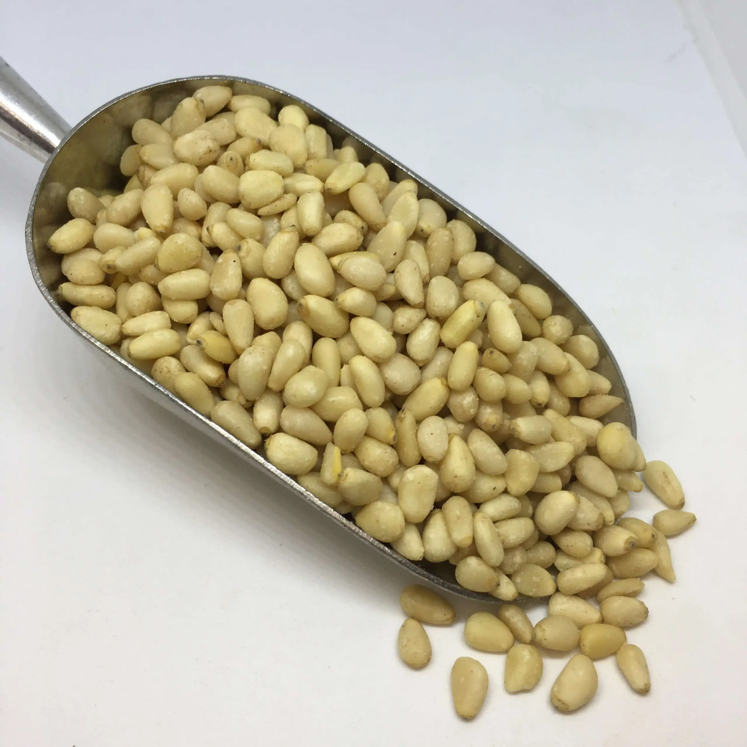 Fresh Pine Nuts and Quality pine nuts