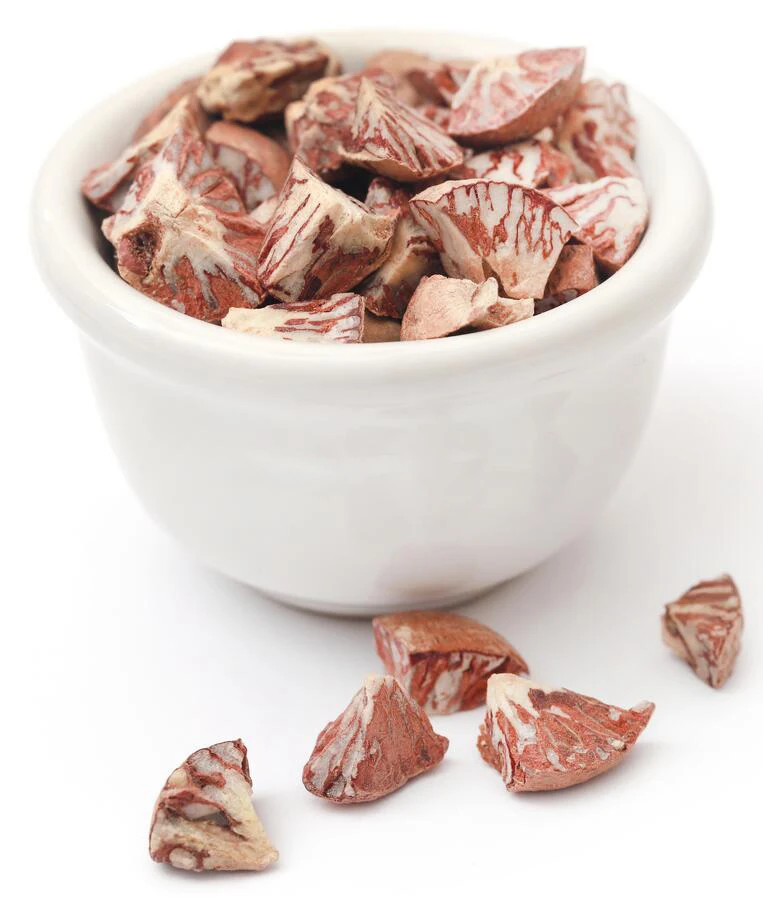 High Quality New Crop Betel Nuts Ready To Export From Thailand Best Price Feet For Bangladesh / India / Pakistan Market