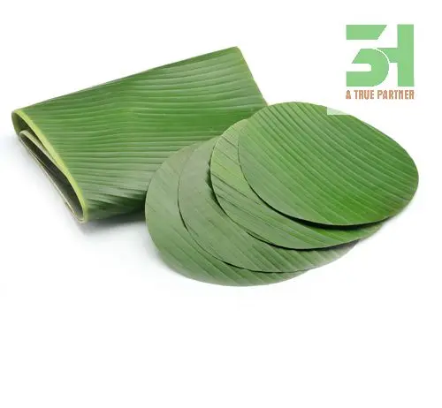 Frozen Banana Leaf Fresh Banana Leaves From 3H VietNam ( Ms.Nancy +84 981859069 )