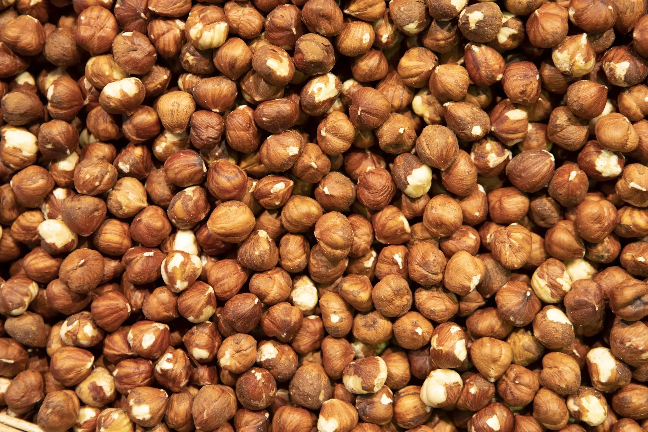 Natural Taste Quality Blanched Hazelnut/Hazel Nut at Low Price