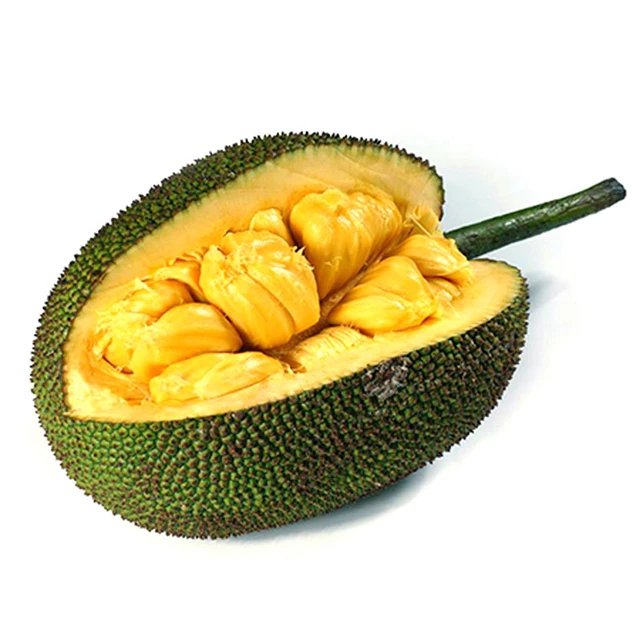GRADE A JACKFRUIT FROM VIETNAM BEST QUALITY 100% NATURAL FRESH