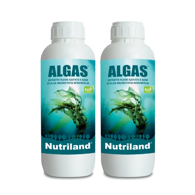 High Quality Algae Based Organic Fertilizer Agricultural Made in Italy Manufacturer Algas For Agriculture