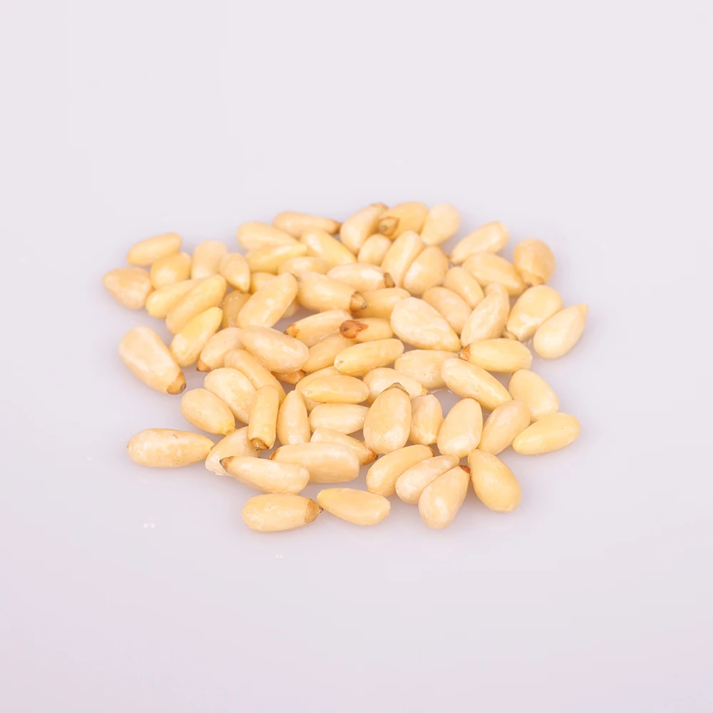 High Nutrition  Pure Natural Rich Nutrition The Pine Nuts Organic Free Edible Pine Nuts