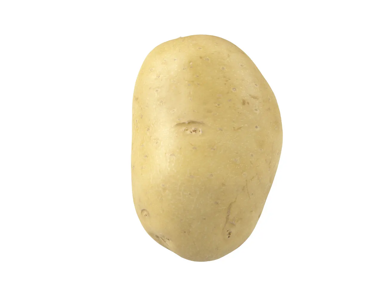 Organic Healthy Weight 100% High Quality Export Oriented Low Price For Wholesale Price Fresh Potato Holland From Bangladesh