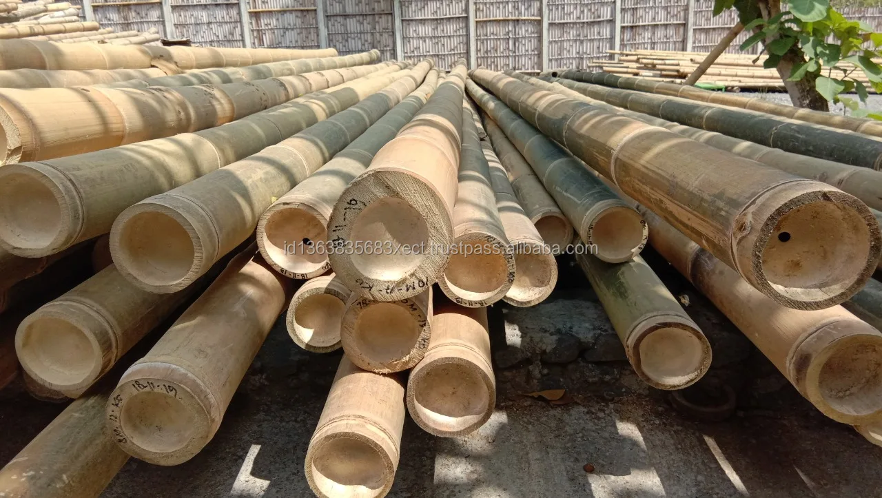 Large Bamboo Poles Raw Material 500 CM (Treated)