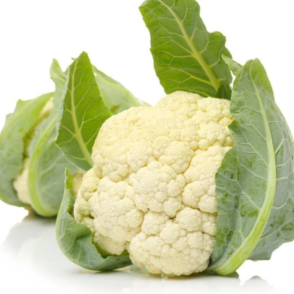 %100 Natural High Quality Fresh Cauliflower Common Wholesale High Quality No Frozen Fresh Vegetable Cauliflower