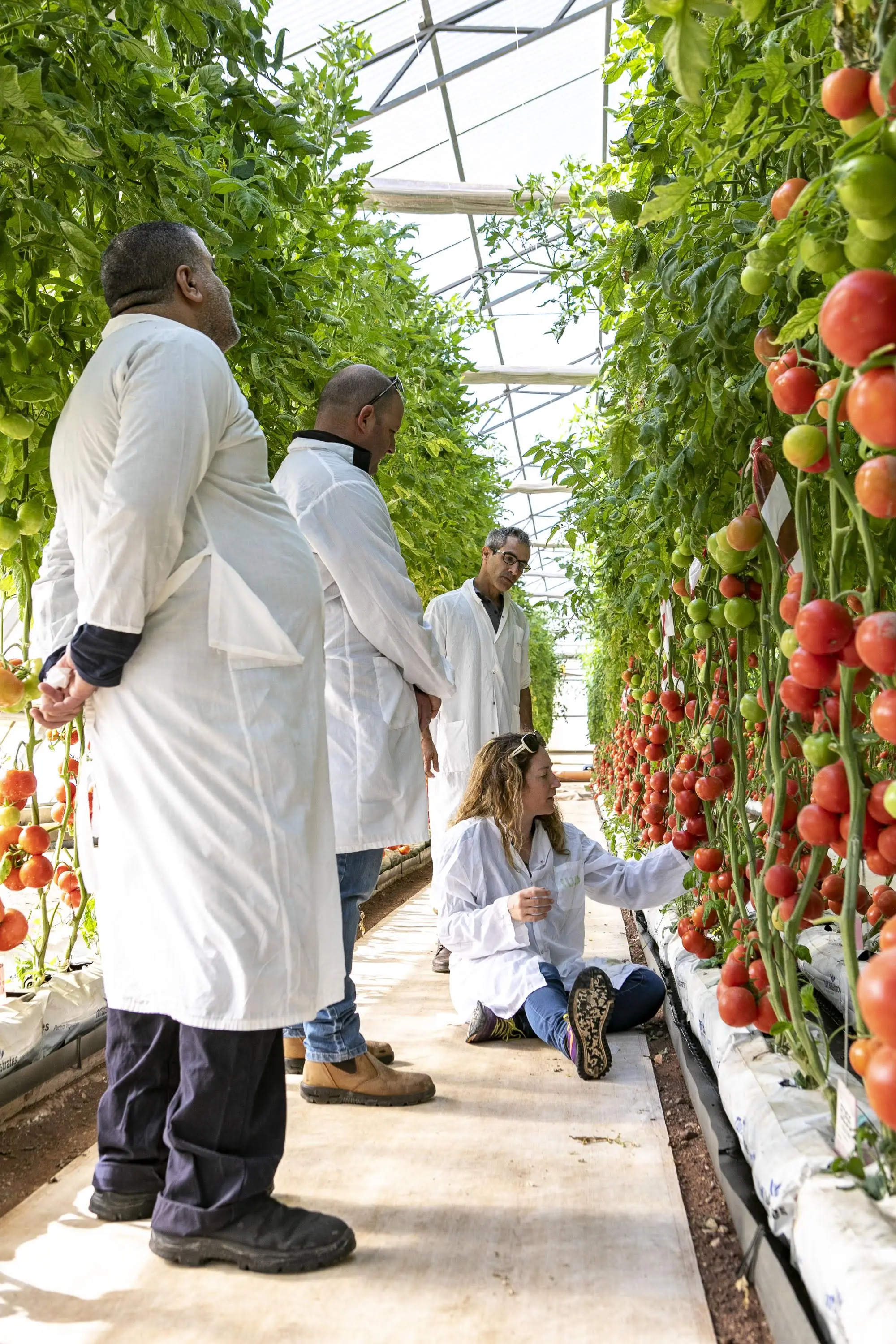 Sell Cocopeat Growbag 28L Microbiological Soil Nutrition Substrates Biochar Coir Mattress Tuff High Quality Brand Manufacturer