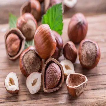 Buy Organic Hazelnuts (Whole, Skin On) For Sale