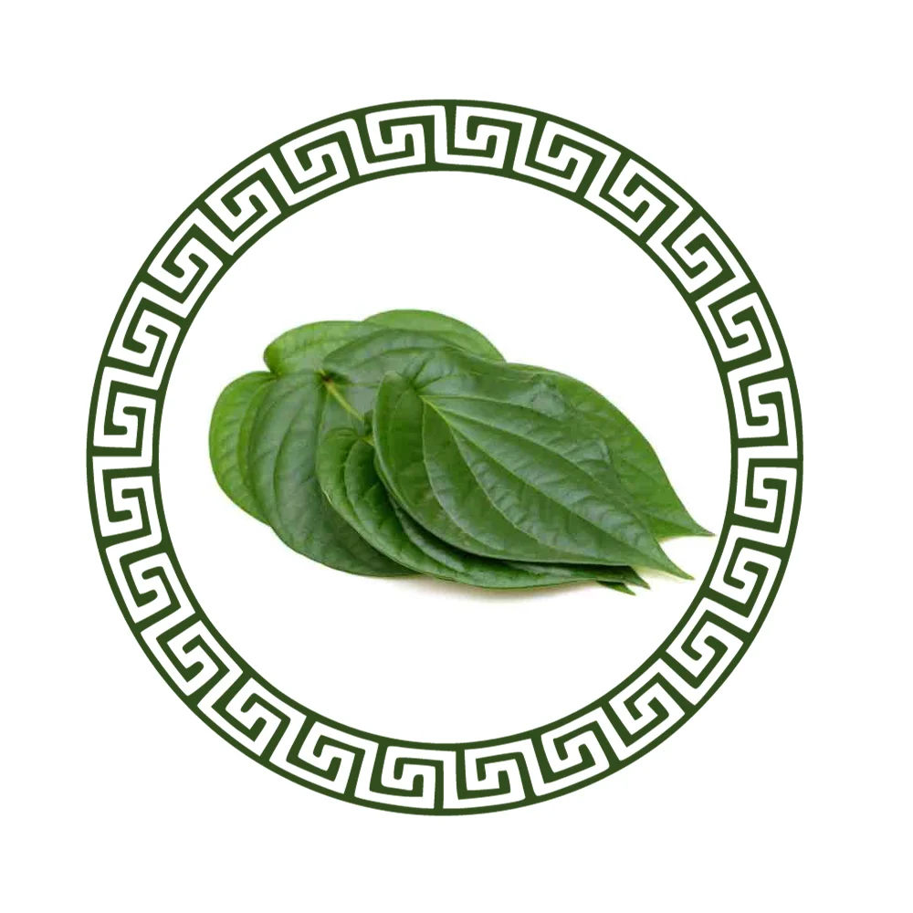 Thailand Best Export Quality Betel Leaves/Betel leaf