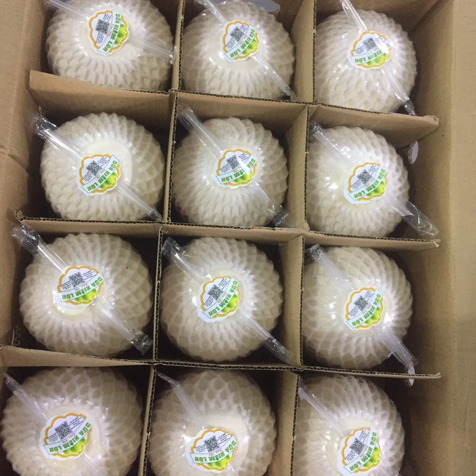 Best Price Whosale Young Coconut Fresh StypePremium Quality Mature Semi Husked Dry Coconut In Bag Fresh Newly from Vietnam