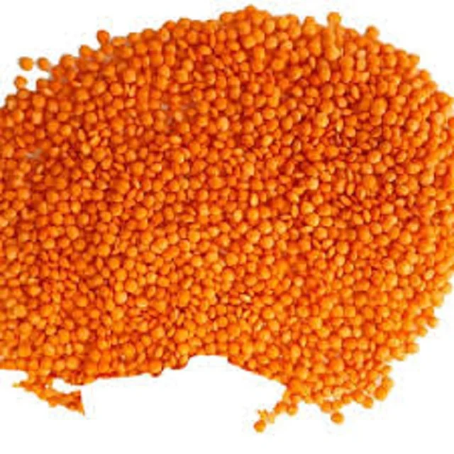 Best quality Red Lentils for sale/ food industry and cooking wholesale prices beans grains seeds for sale