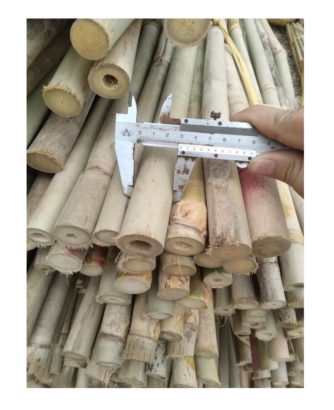 Supplier Bamboo Pole 1- 6m Customized Size Cheap Price On Bulk - Natural Bamboo Poles/Stakes Export Worldwide