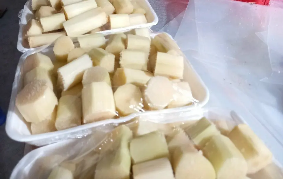 Высококачественная сельскохозяйственная продукция натурального цвета, оптовая продажа замороженного сахарного тростника из Вьетнама