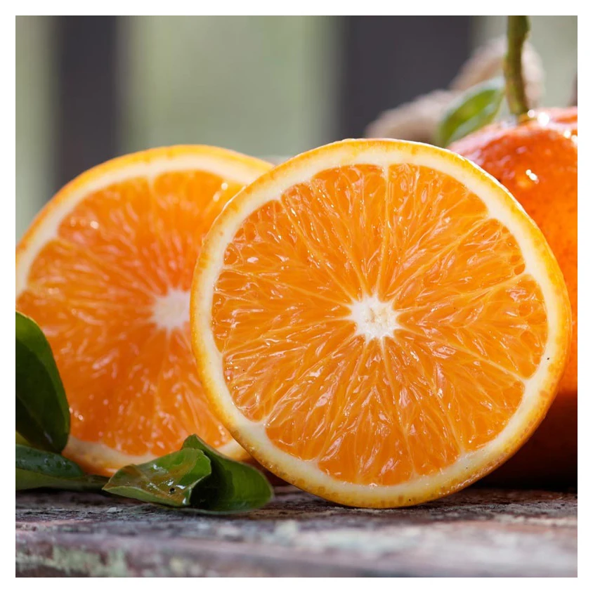 Best Quality Wholesale Fresh Navel Orange , Fresh Orange, Fruit Wholesale Suppliers Sweet Navel Price Citrus Orange Fresh Fruit