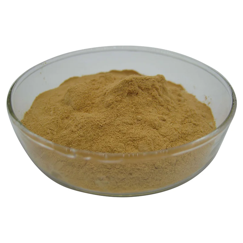Factory Price Natural 10:1 Foeniculum Vulgare Fennel Extract Fennel Seed Extract Powder Cheap price