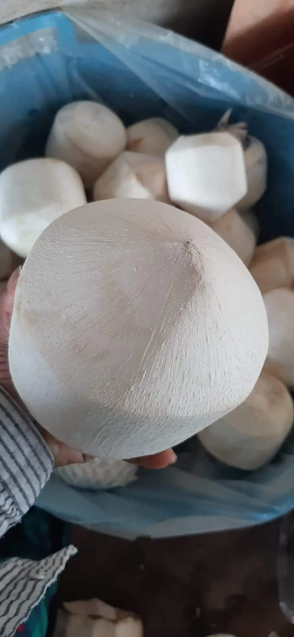 Premium Fresh Young Coconut 9 Pieces per Carton From Thailand Wholesale OEM High Quality Export Grade