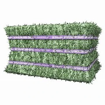 Quality Timothy Hay Quality Alfalfa Hay/ Timothy Hay and Lucerne Clover in Bales/Bermuda Orchard Grass Oat Hay