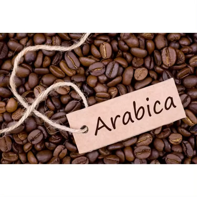 High Quality Roasted Robusta & Arabica Whole Bean Coffee Available for Sale