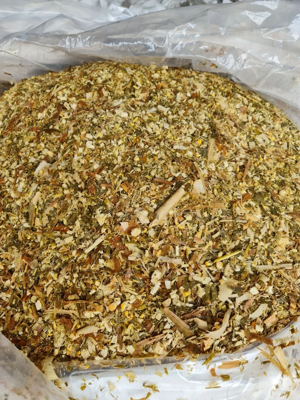 VIETNAM CORN SILAGE/MAIZE SILAGE WITH MOLASSES - HIGH QUALITY AND COMPETITIVE PRICE / Whatsapp +84902679738 Ms Jolie