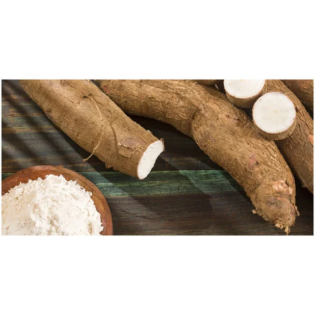 Bulk food grade White Cassava Starch For export Corn Starch Starch Hot Sell Supply Good Price Corn