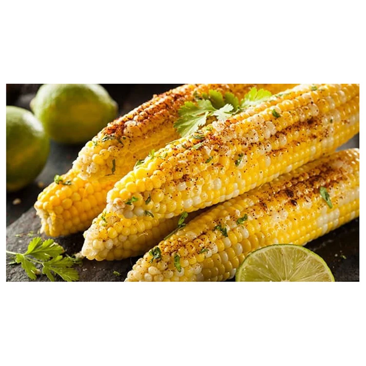 Hot Selling Price Of Dried Yellow Corn Grans / Corn Maize In Bulk Quantity