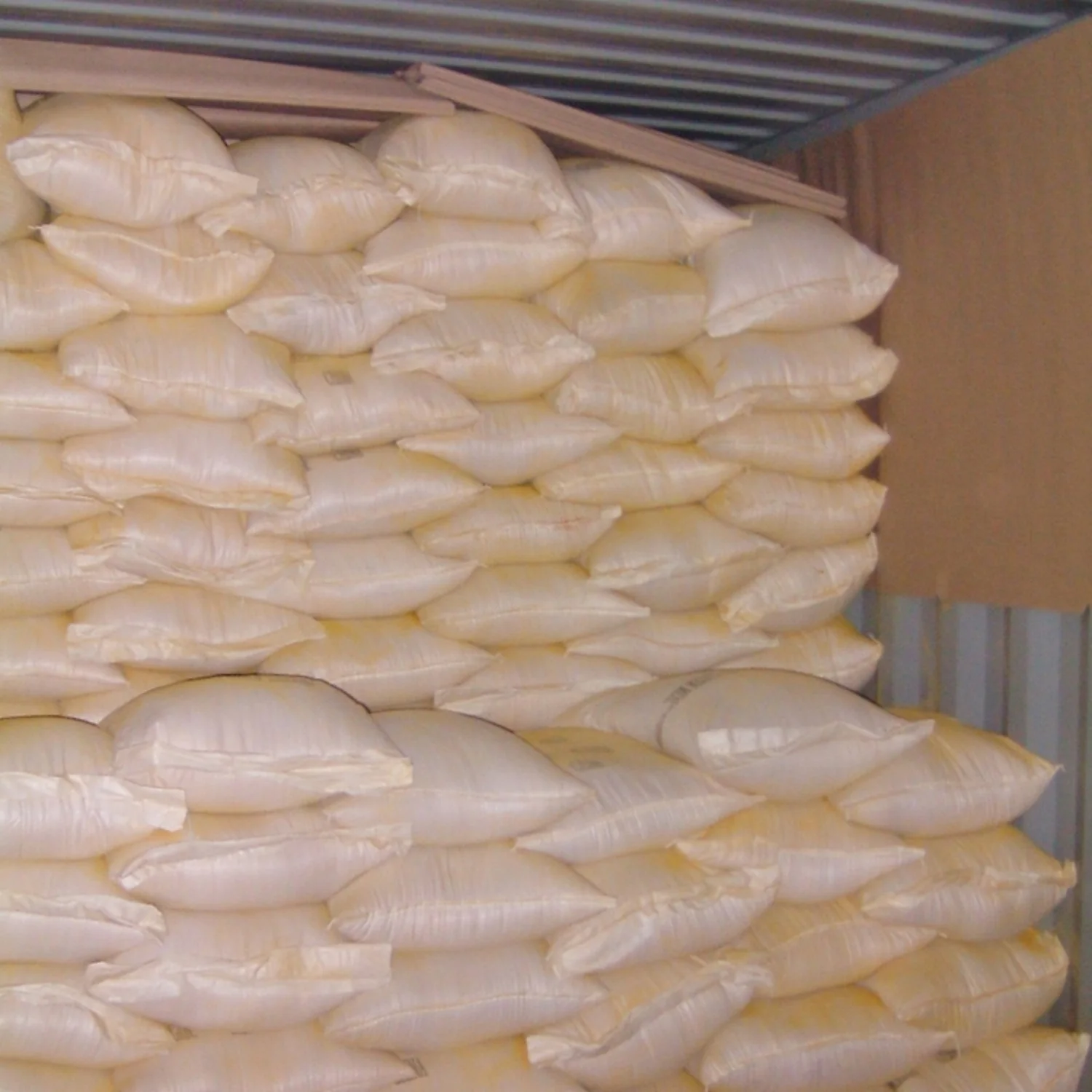 Free Sample Corn Gluten Meal 60% Protein Feed Grade Corn Gluten Meal Powder