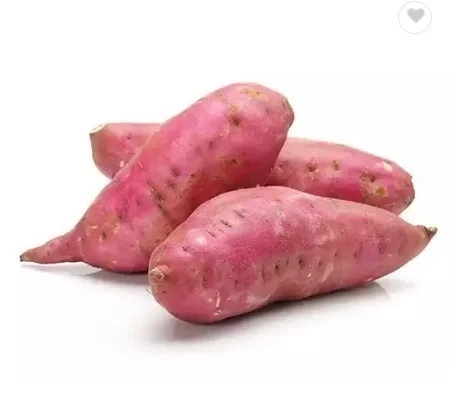 Хит продаж свежий овощной суккулентный вкус/сладкий картофель Лучшая Продукция от вьетнамской оптовой продажи