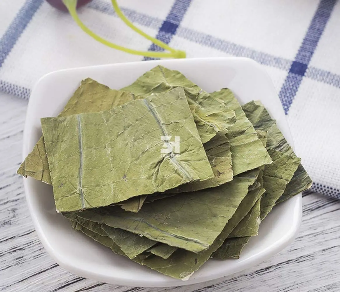 Vietnam Dried Lotus Leaves in Bulk Ready to Ship with Good Price (Ms. Nancy - +84981859069)