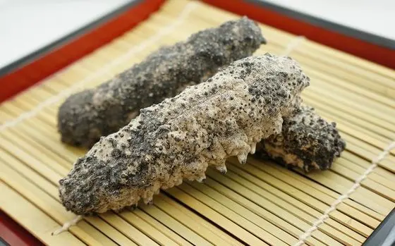 Dried Sea Cucumber with Best Price and High Quality 2022 From Vietnam