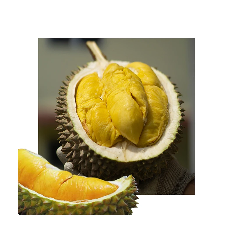 Malaysia Top Quality Delicious Fresh D24 Durian (Fresh Fruit) Sweet and Nutty with A Slight Bitter Taste