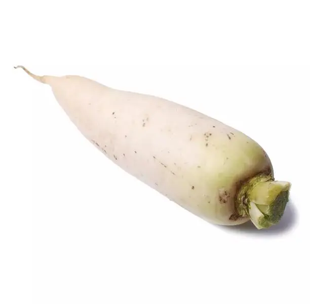Non-GMO wholesale great taste food grade natural fresh vegetables from Uzbekistan fresh radish for food