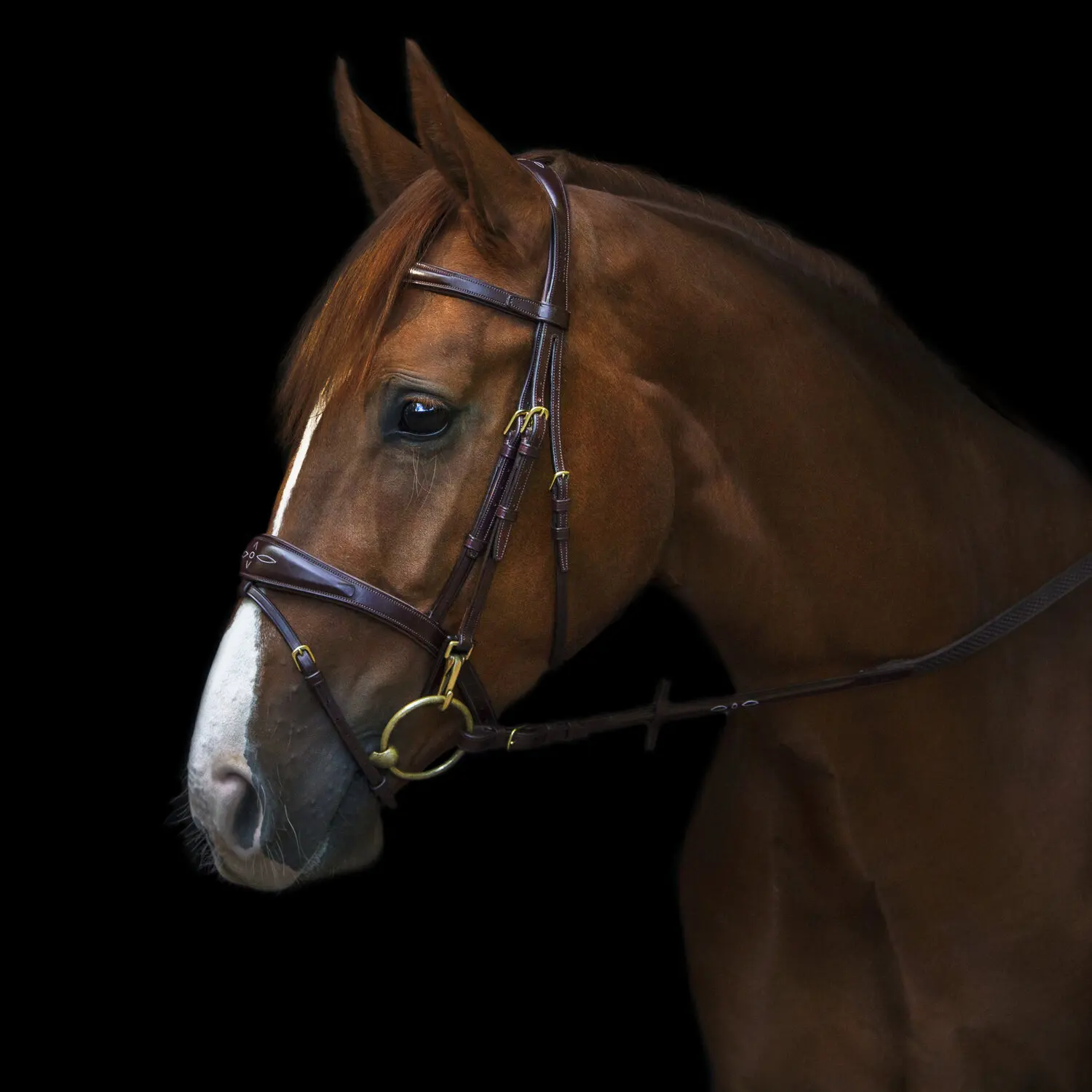 bridle headstall one ear headstall western horse bridles