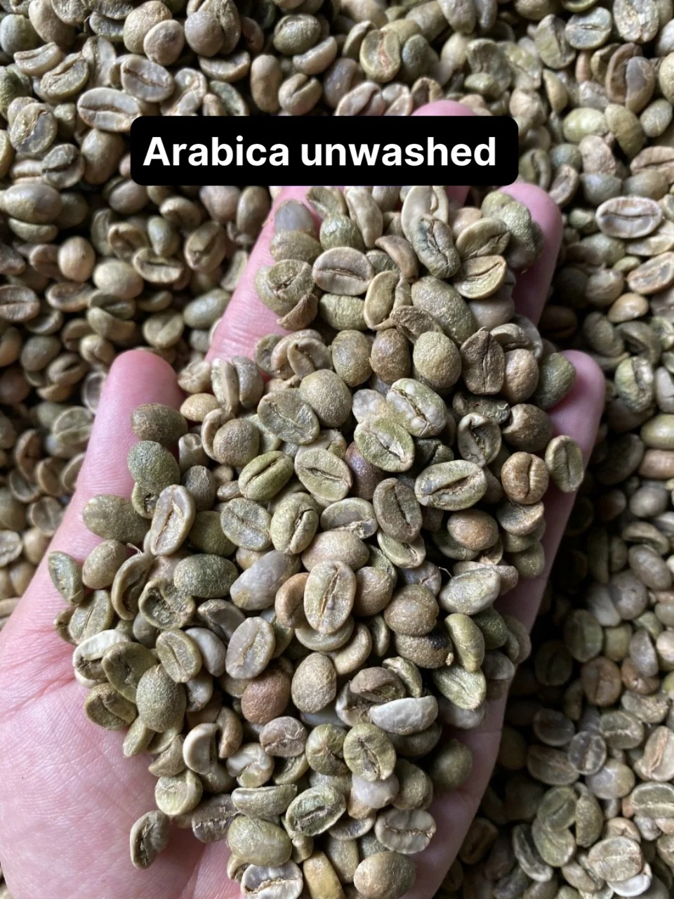 Кофейные зерна ARABICA | +