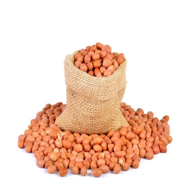 Red peanut,blanched peanut kernels,Bold PeanutsBlanched Peanuts Java Peanuts/ Raw Peanuts Kernel / Raw Peanut in Shell