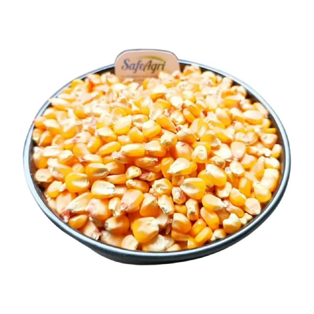High Quality Yellow Corn from India 14% Max Moisture AD Dried Yellow Colour Premium Grade Maize for Animal Feed