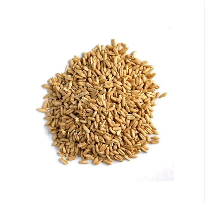 100% Pure Quality Rolled oats Grains Available / High Quality Oat Flakes For sale