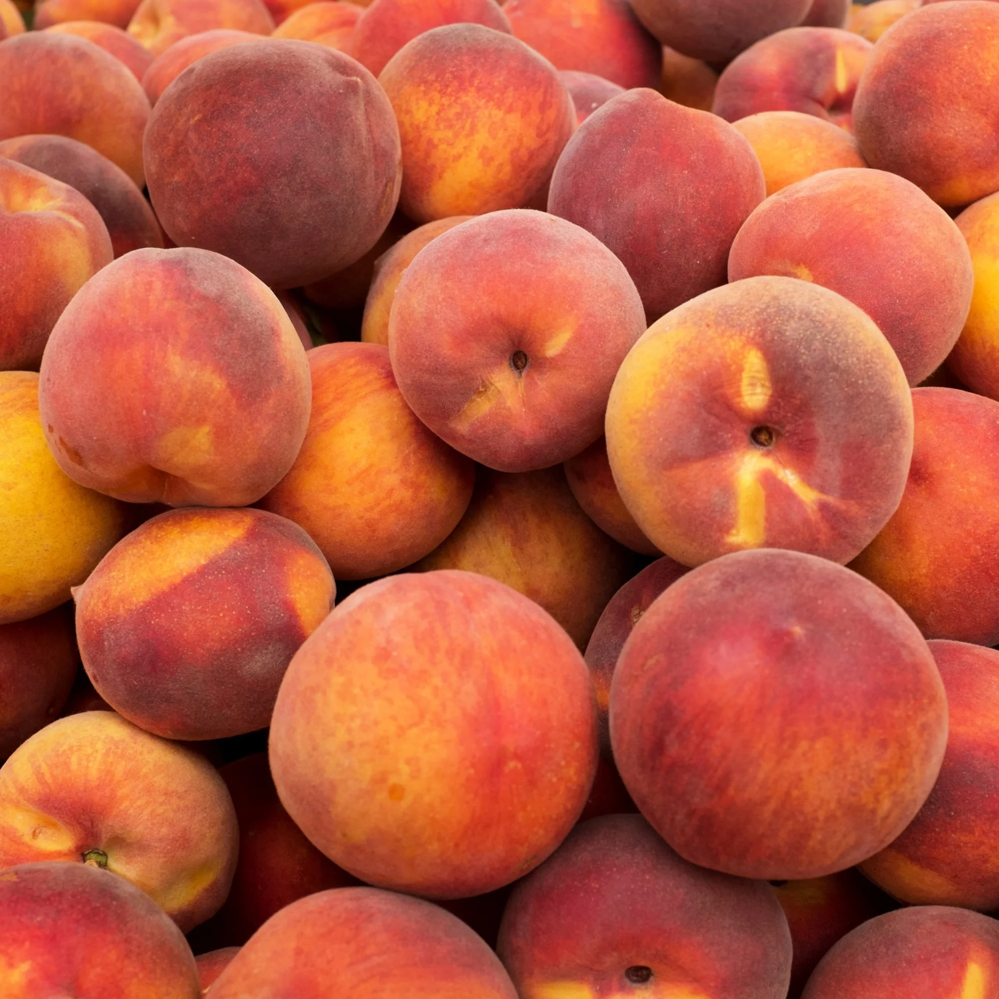 Organic Natural Peach Fresh Fruit For High Premium Quality Fresh Flat Peaches o wholesale price