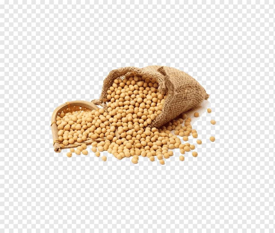 Animal Feed Soybean Meal