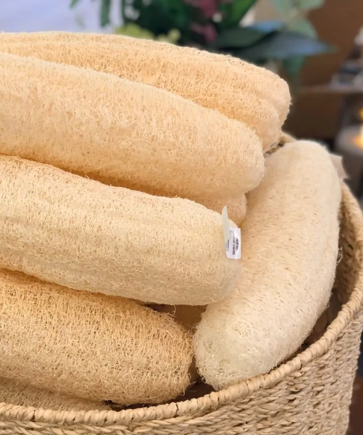 CHEAP PRICE LOOFAH FRIENDLY TO USE FROM VIETNAM MARKET