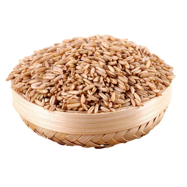 Direct Supplier Of Cereal Grains Oat Grains At Wholesale Price